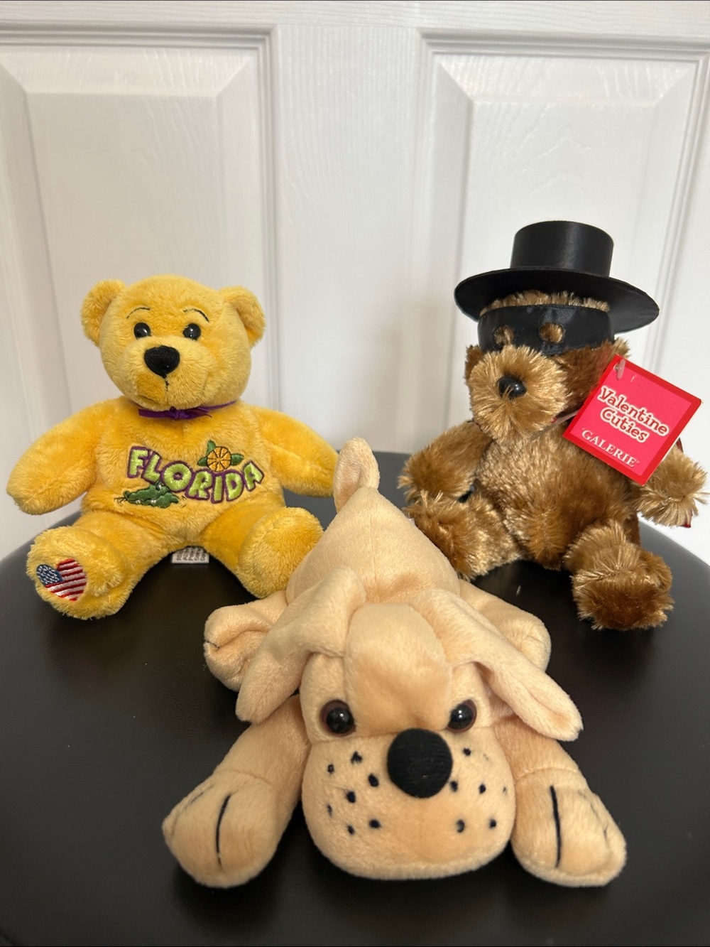 Zorro bear, dog, Florida teddy bear plush animal set